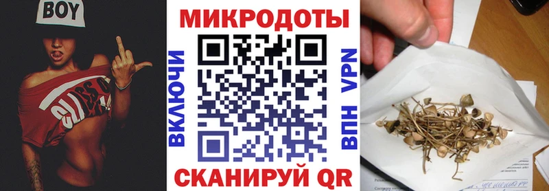 Псилоцибиновые грибы Cubensis  Купить закладки  Галич 